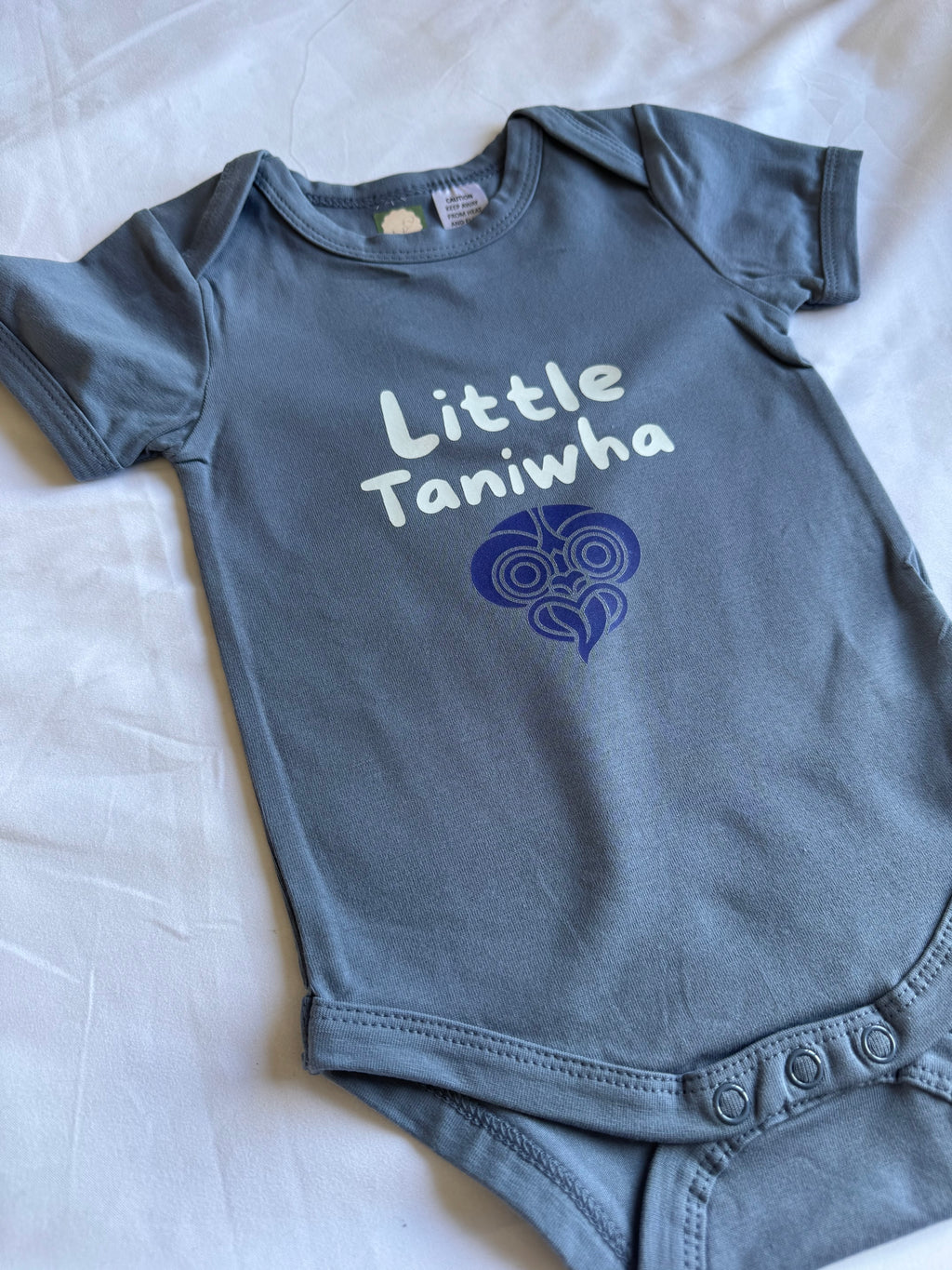 Little Taniwha